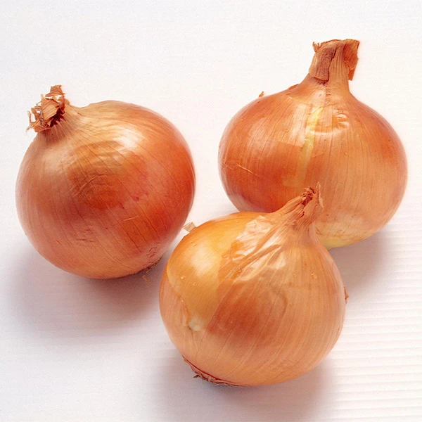 Hành tươi đóng gói Orgnic 20kg